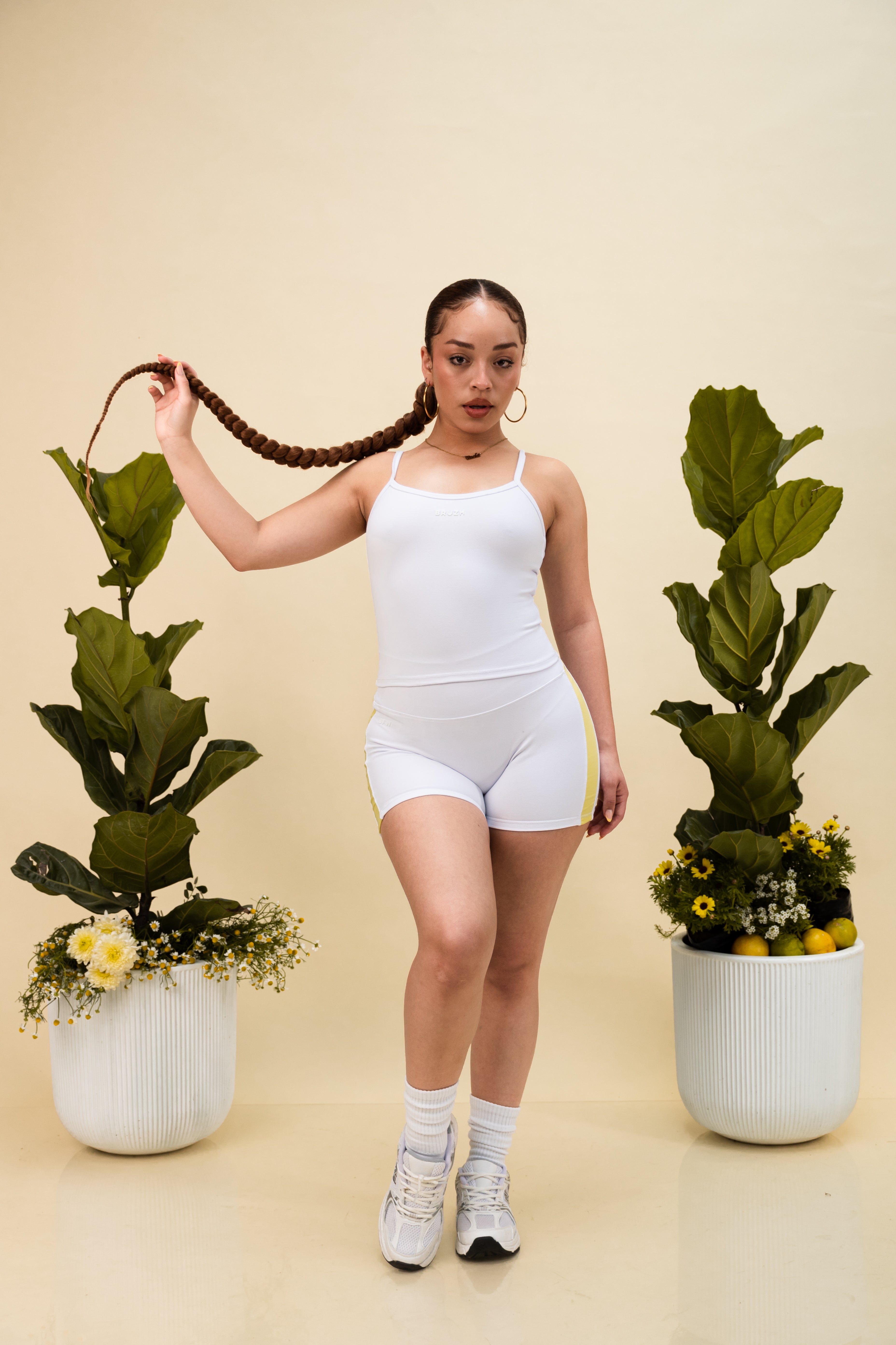 LIMONATTA VIVIDI CLASIC FAJA